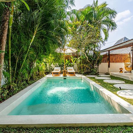Berapi Villa By Evdekimi Ubud Extérieur photo